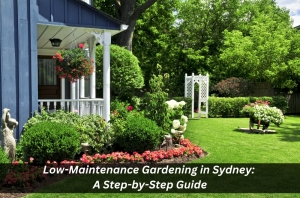 Low-Maintenance Gardening in Sydney: A Step-by-Step Guide